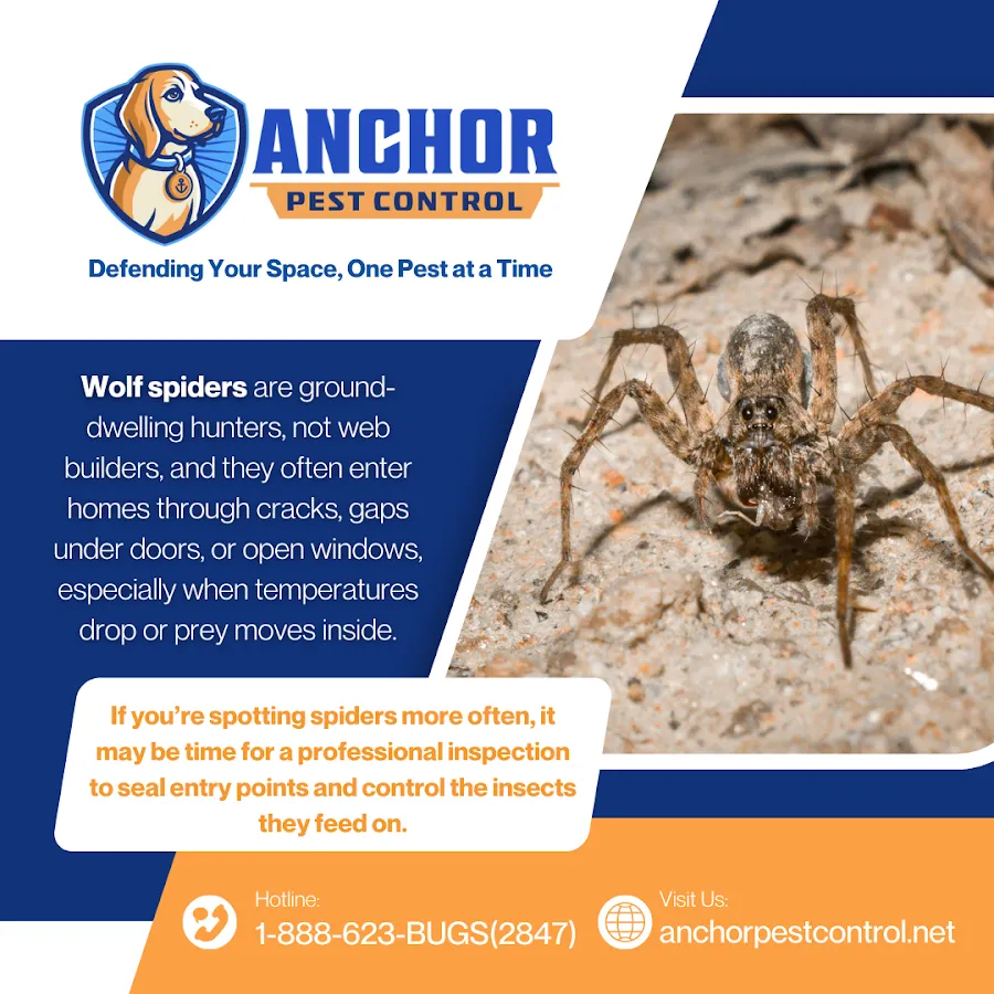 Anchor Pest Control