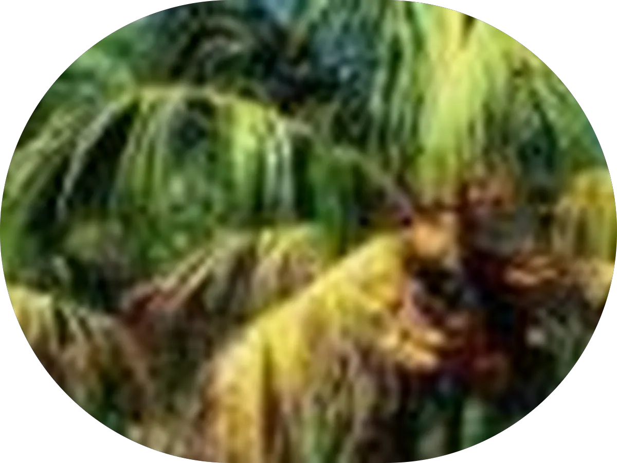 Anchored Notary photo 5