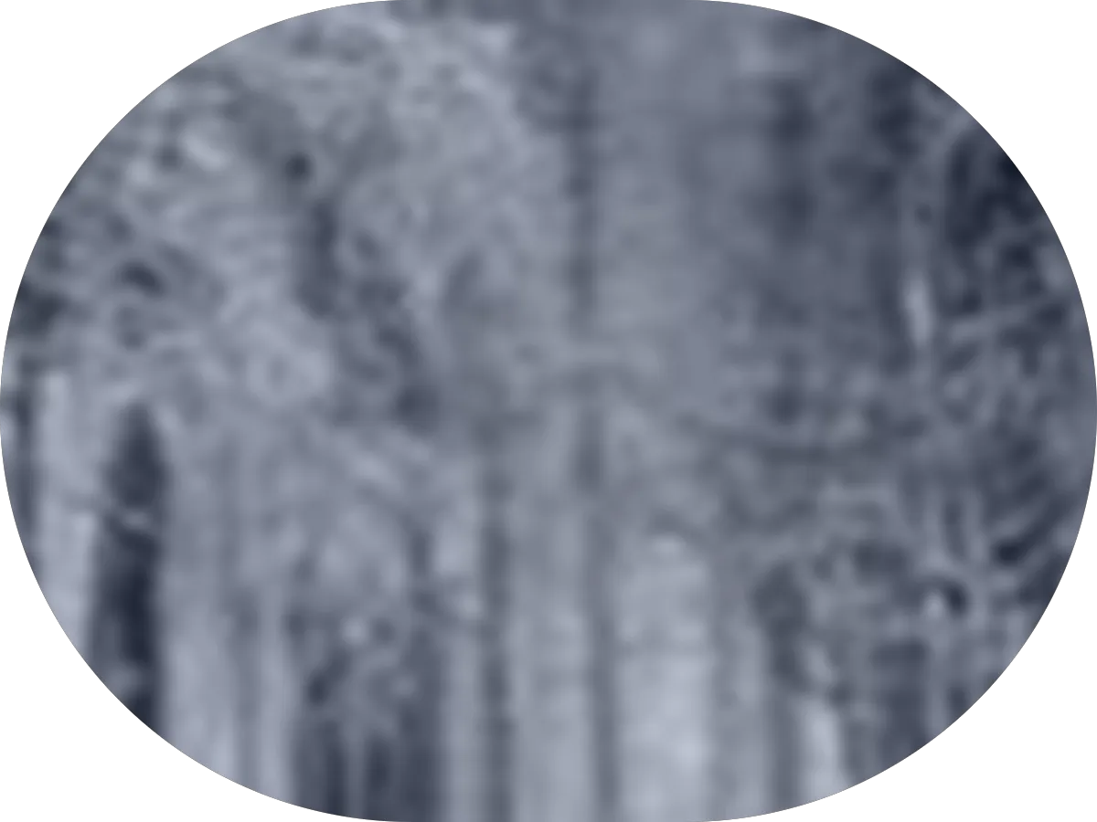 Angelo's Painters photo 3