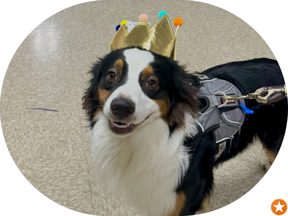 ANIMA NATURAL PET PRODUCTS photo 4