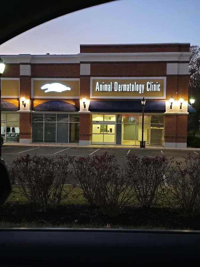 Animal Dermatology Clinic