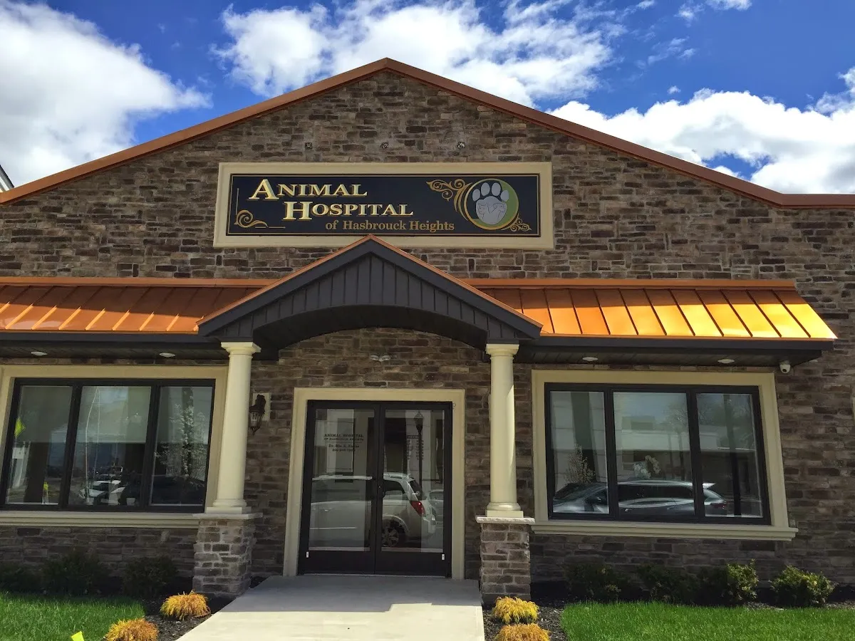 Animal Hospital of Hasbrouck Heights