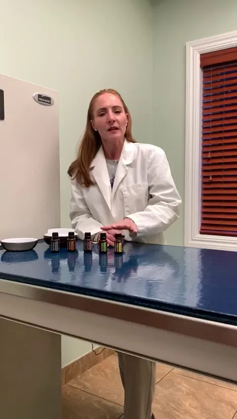 Animal Hospital of Hasbrouck Heights photo 2