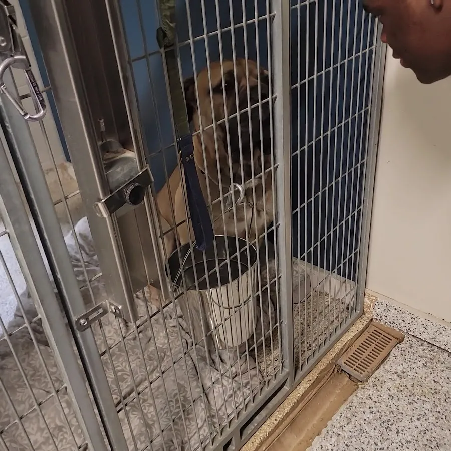 Animal Orphanage photo 3