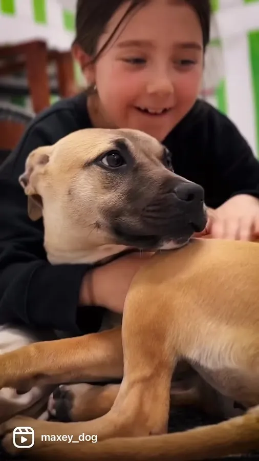 Animal Orphanage photo 4