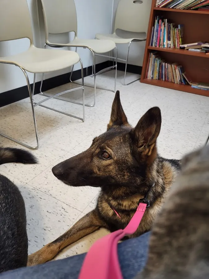 Animal Welfare Association Pet Clinic