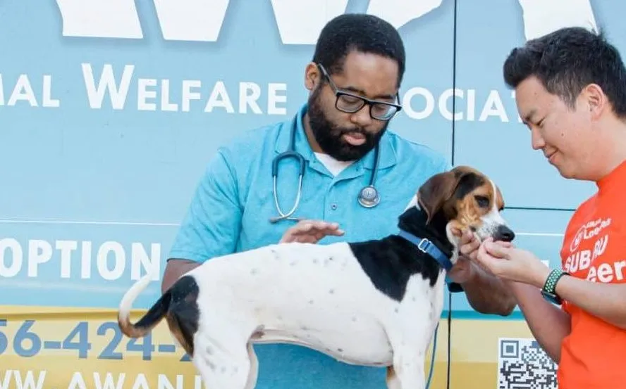 Animal Welfare Association Pet Clinic photo 3