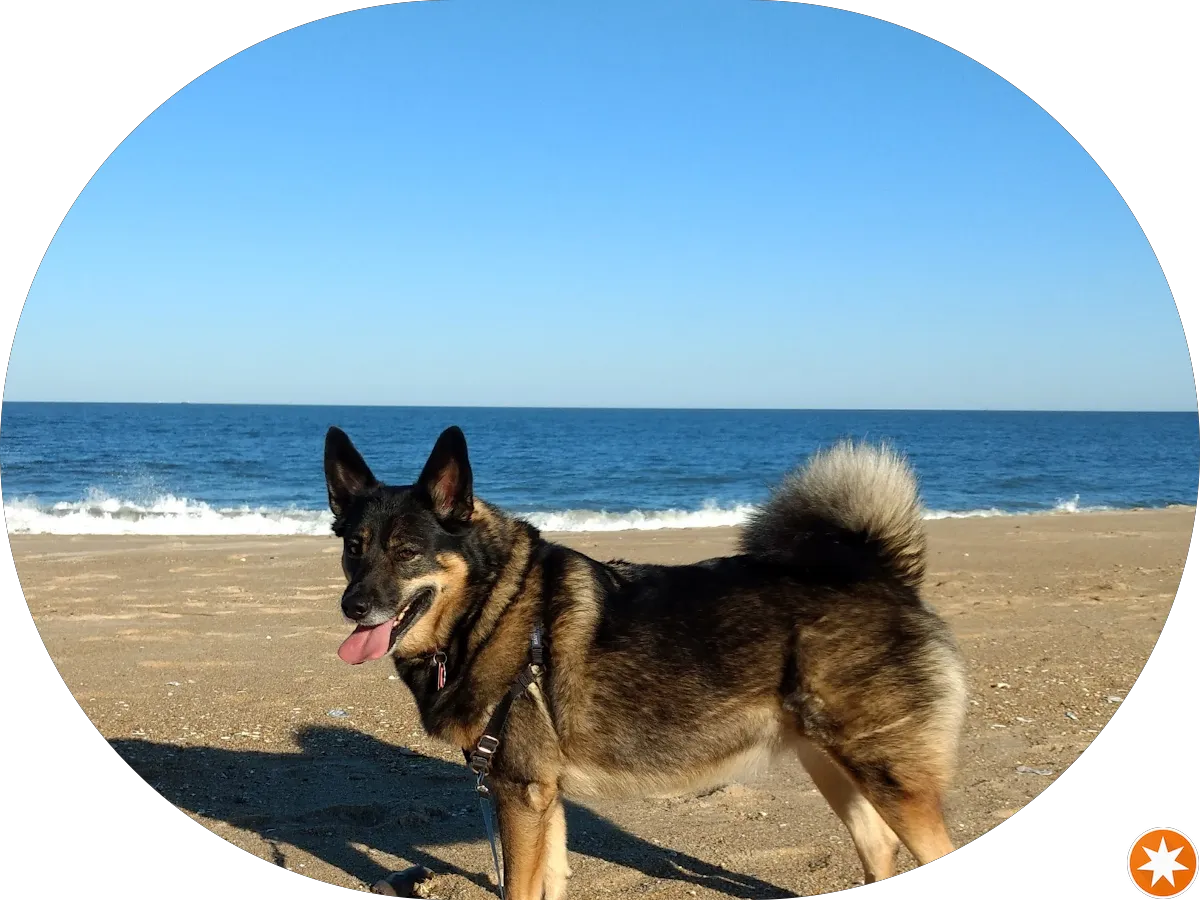 Anjali Power Yoga - Jersey Shore