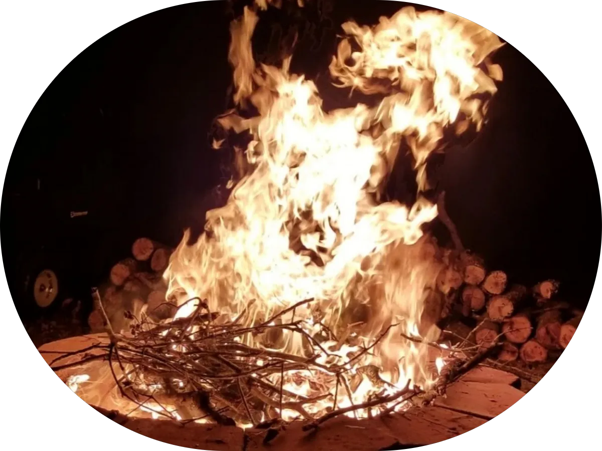 Anthony F Bruce LLC photo 3