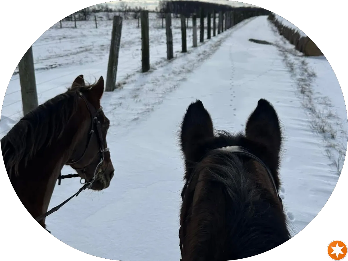 Antiques At 9 South Main photo 5