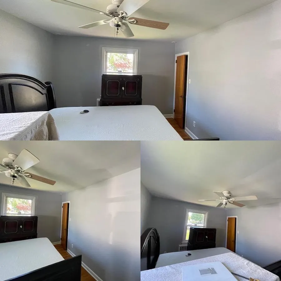 APEP Painting photo 2