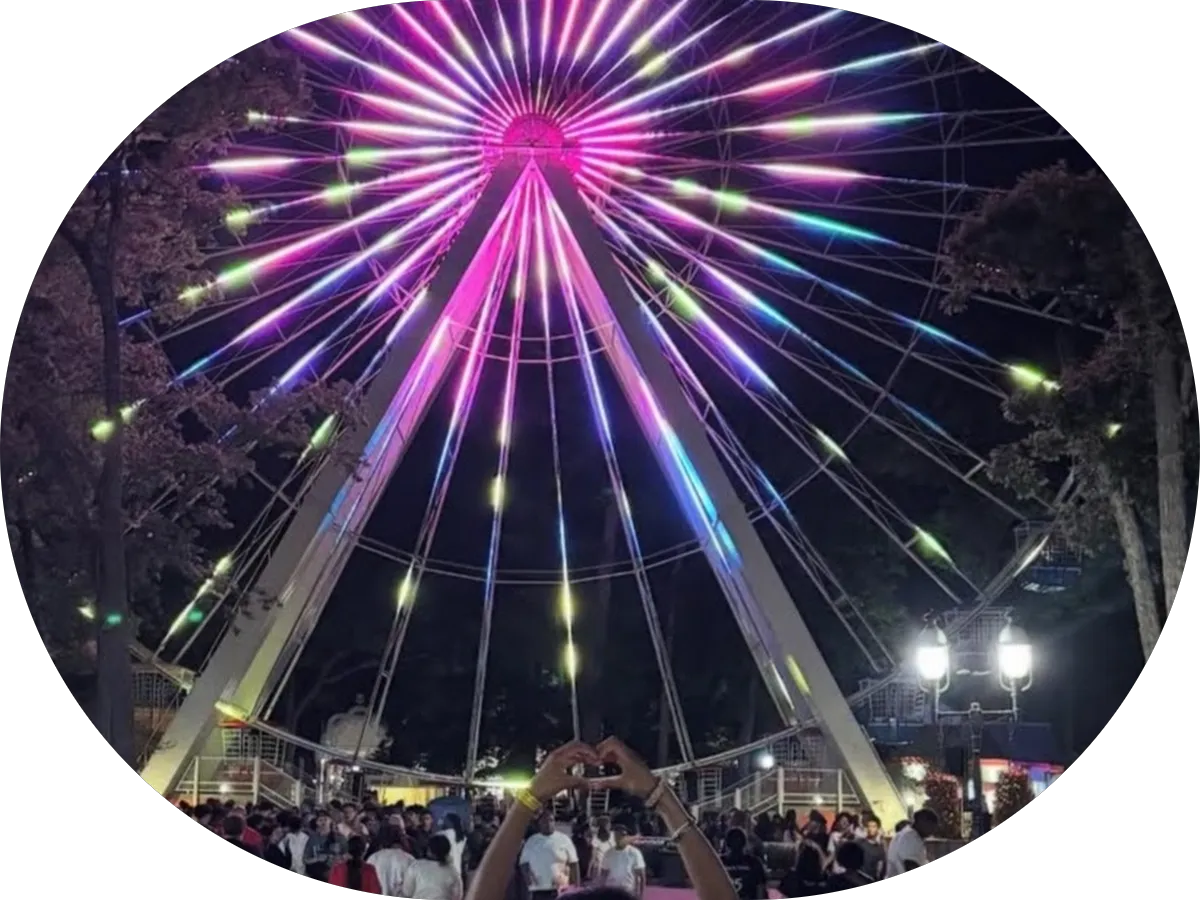 Apex Auto Shine photo 4