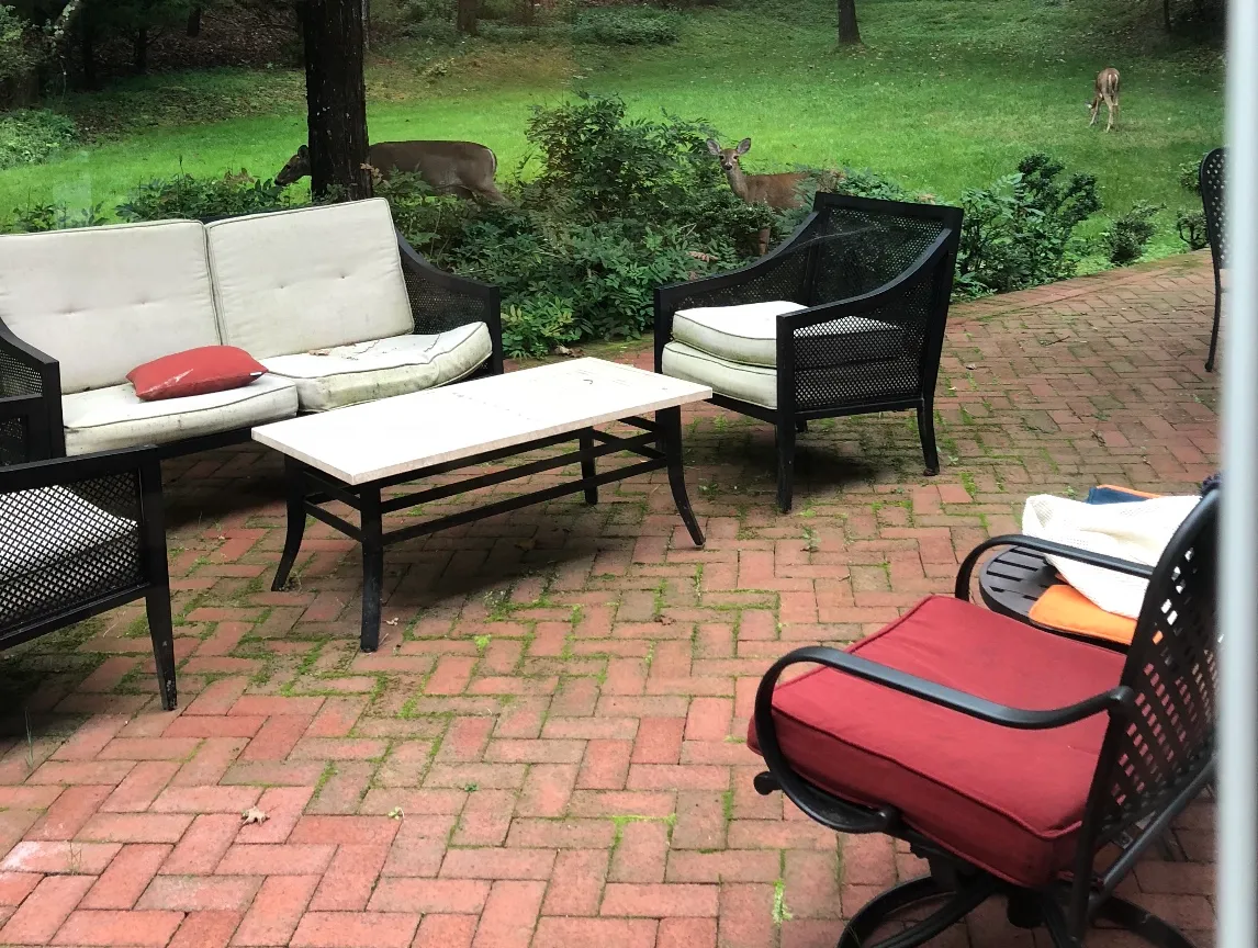 Aqua Boy Power Washing photo 3