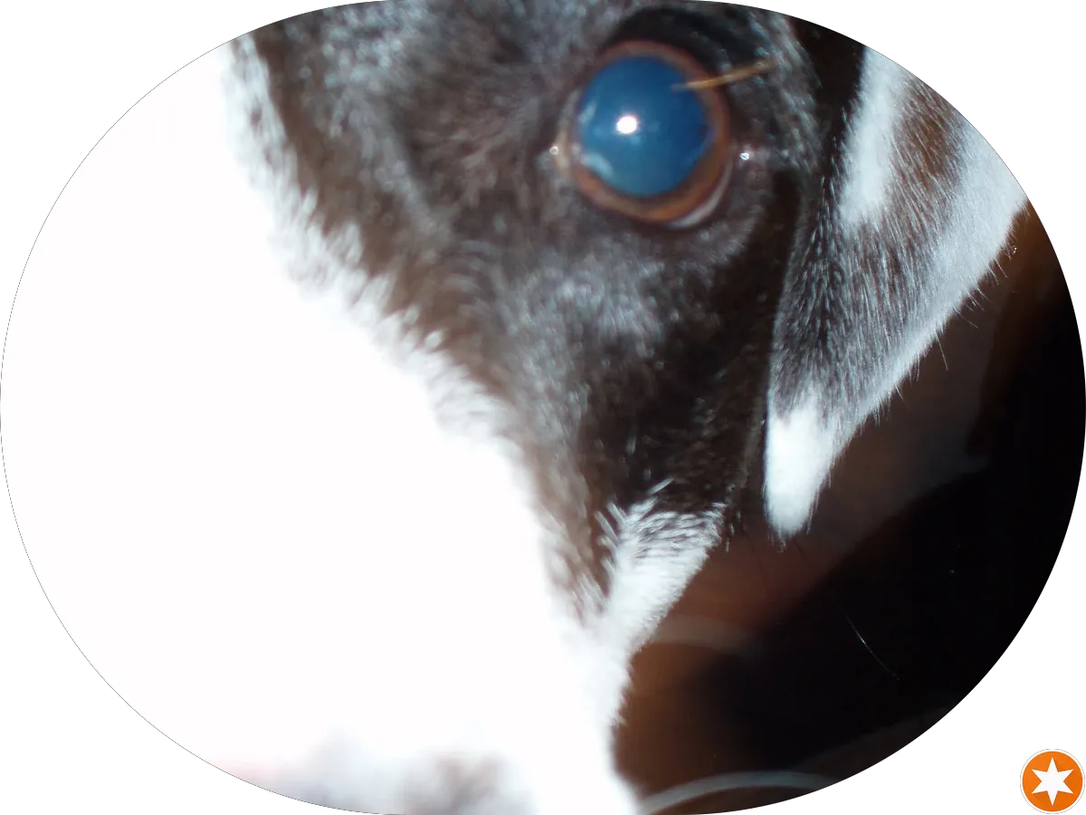 Aqueduct Plumbing Services, LLC photo 2