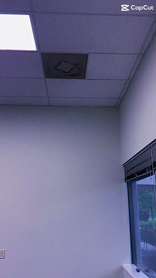 ARMS ETCETERA photo 4