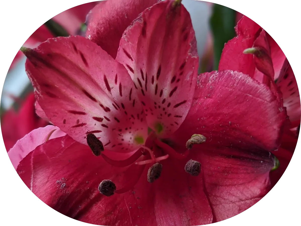 Aspen Dental - Rio Grande, NJ photo 4