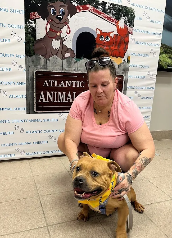 Atlantic County Animal Shelter