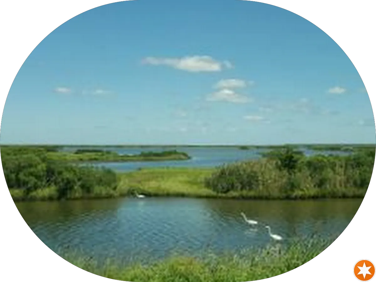 Atlantic Equine Clinic photo 2