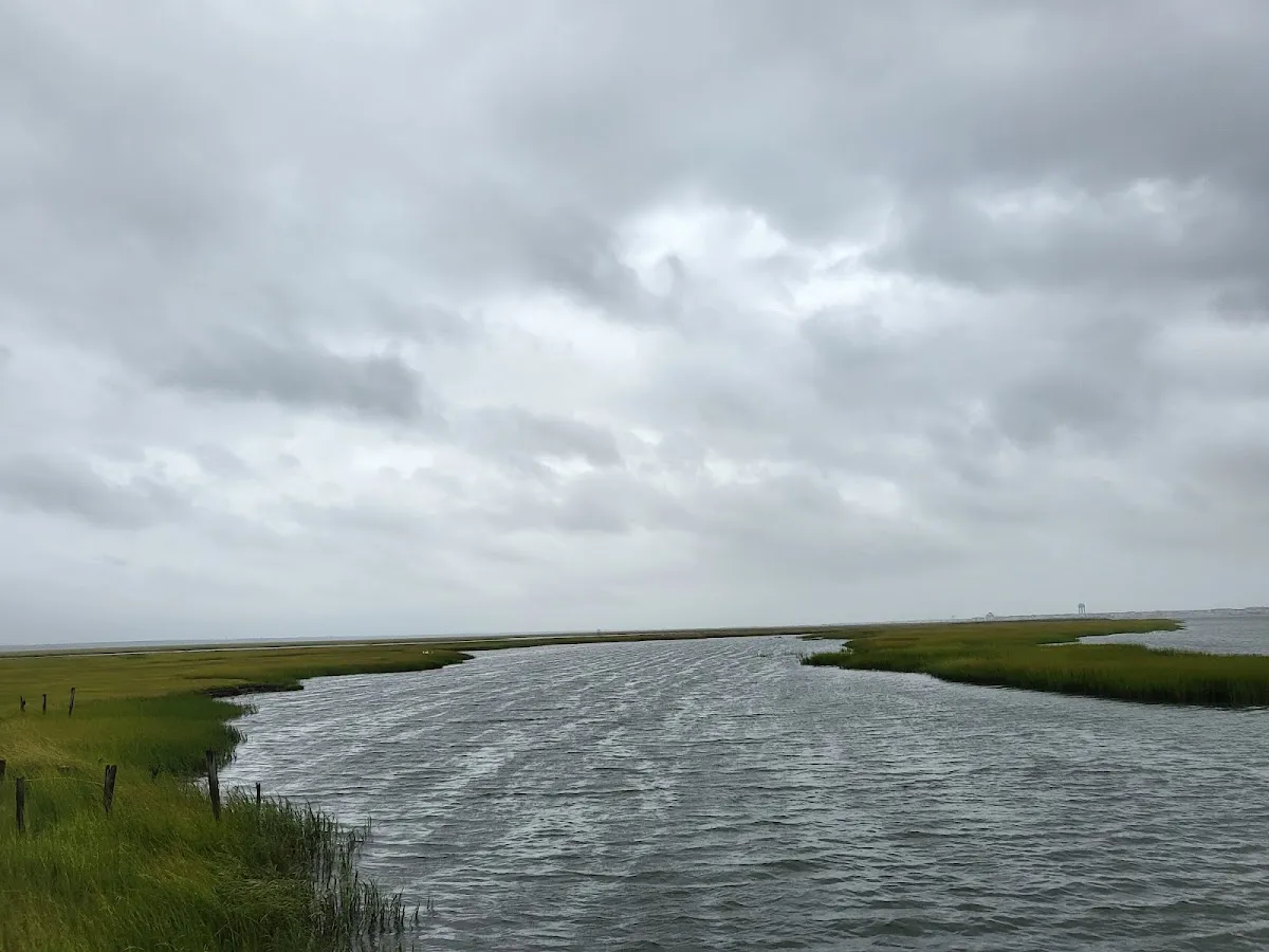 Avalon Marine Center