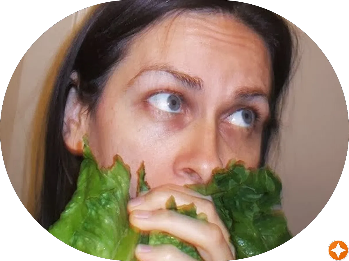 Avalon Pet Styles photo 4