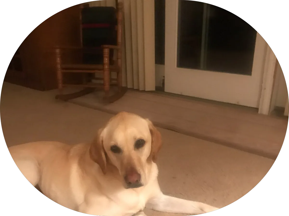 Avalon Seafood & Produce Market photo 5