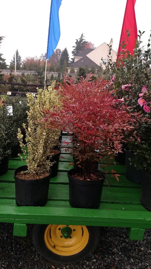 Axten's Nursery & Landscape