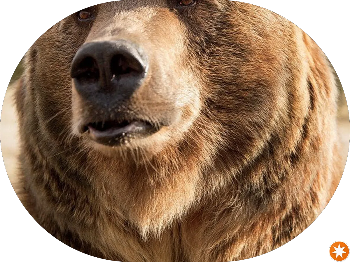 AZ Dental Spa photo 5