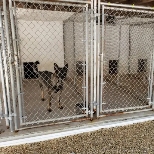 B & B Pet Palace photo 2