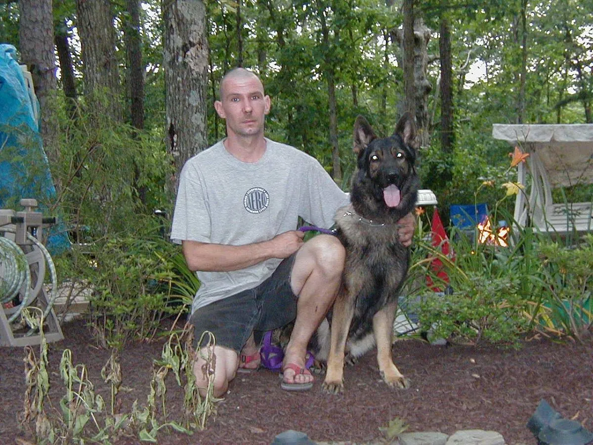 B & B Pet Palace photo 3