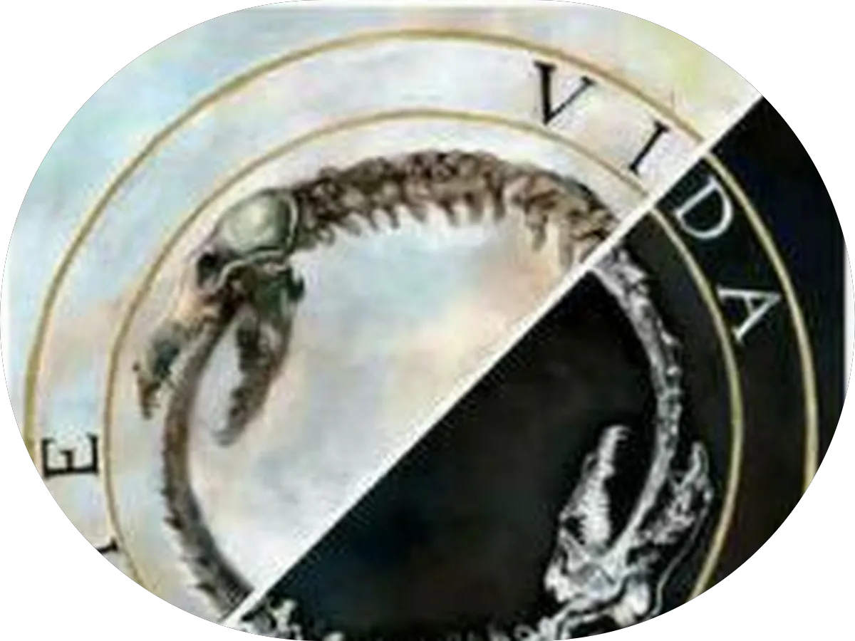 B K Laundromat photo 2