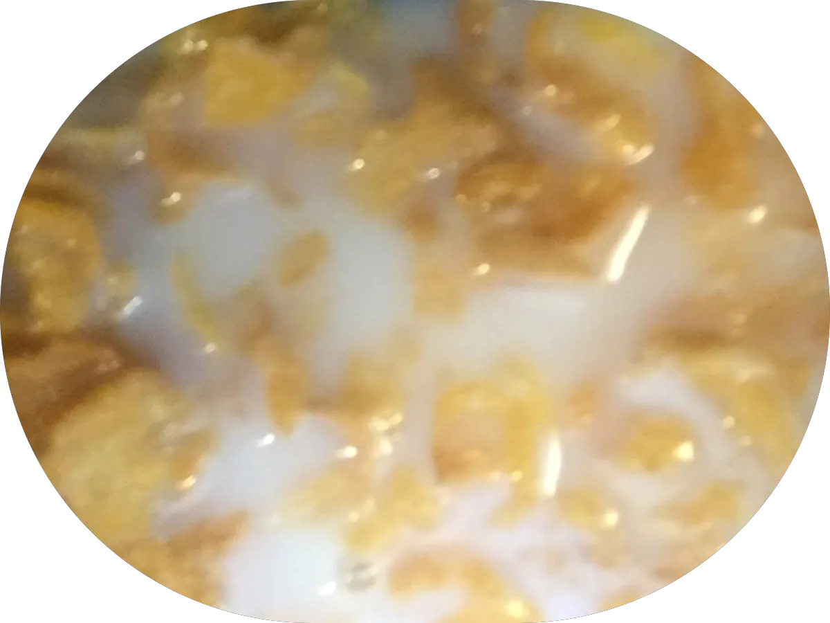 Back and Neck Center of Brick photo 5