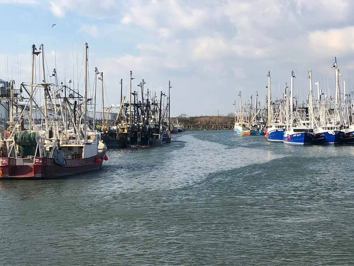 Backwater Marine photo 5