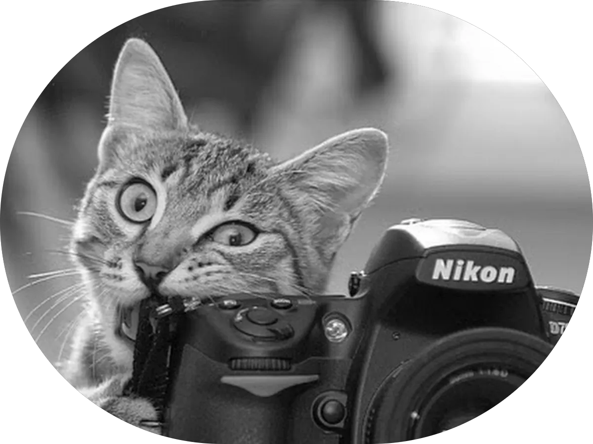 Bacon's Heating and Air Conditioning photo 4