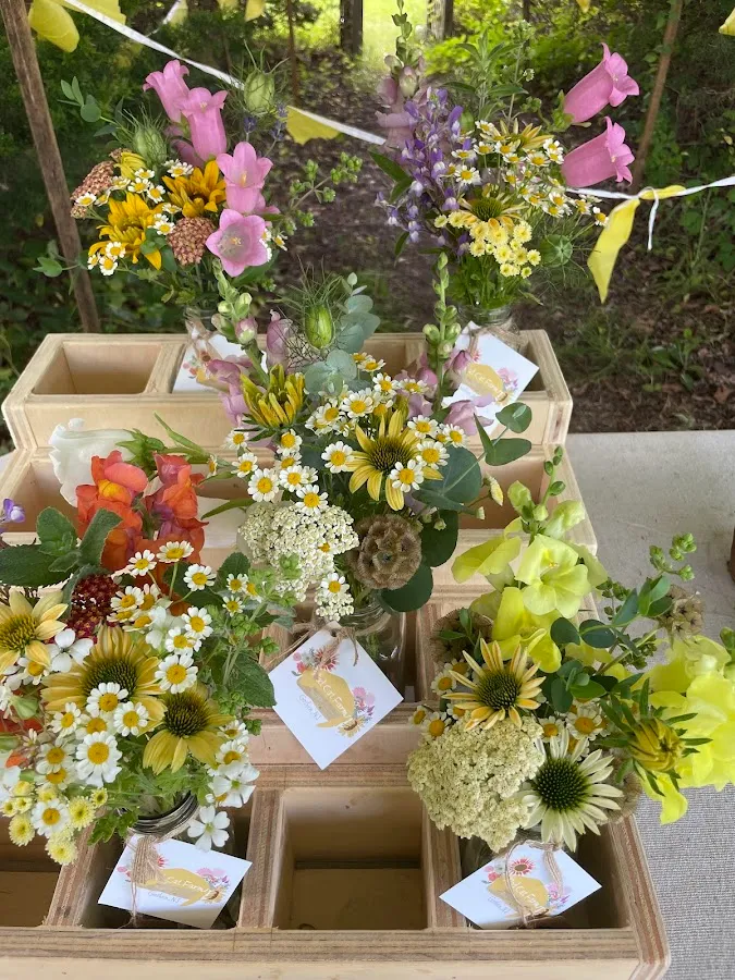 Bad Cat Farm photo 2