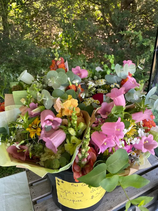 Bad Cat Farm photo 3