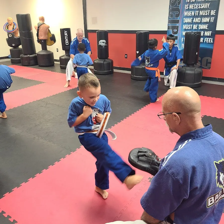 Bad Wolf Martial Arts