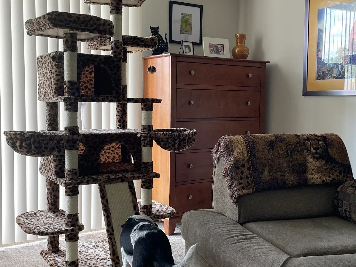 Banes Handyman Care photo 5