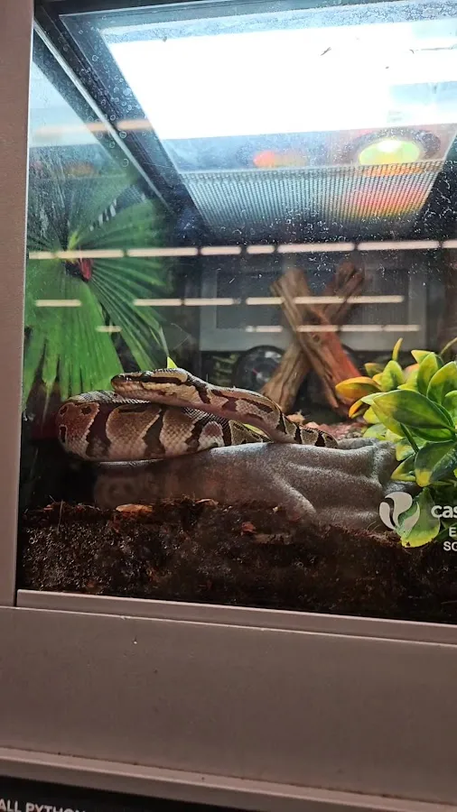 Banfield Pet Hospital photo 4