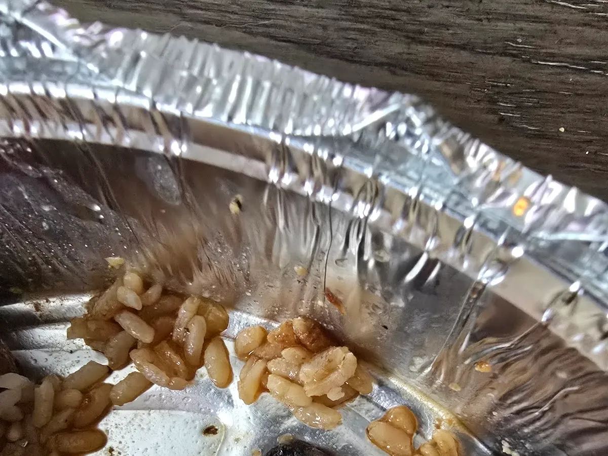 Banzai Sushi Japanese Restaurant Lyndhurst Nj photo 4