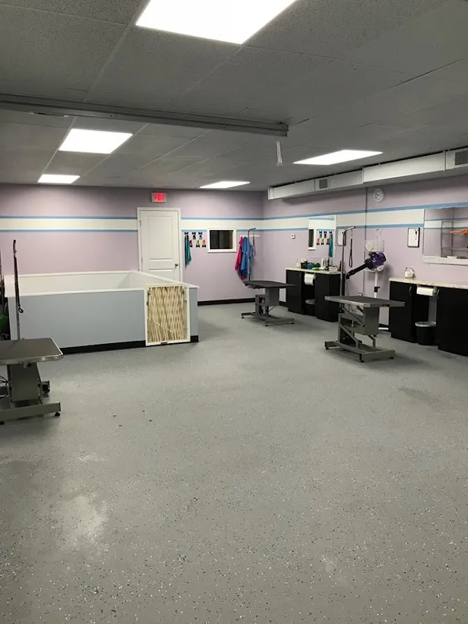 Barks & Bubbles Pet Salon photo 3