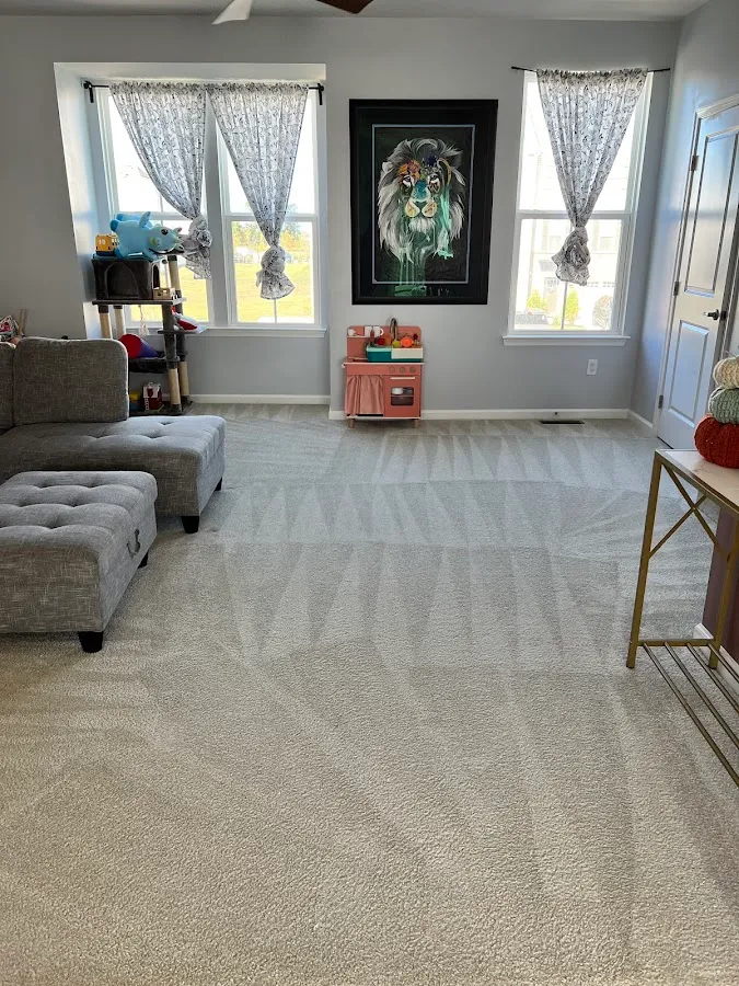 Barnes & Young Cleaning and Restoration