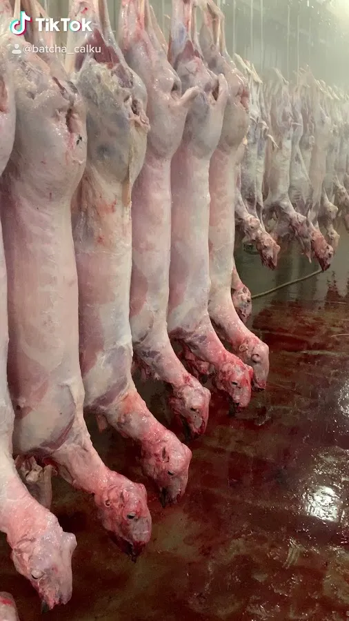 Basci Mediterranean Food and Halal Meat Market photo 3