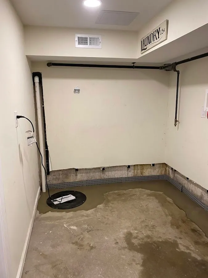 Basements Love Us photo 3