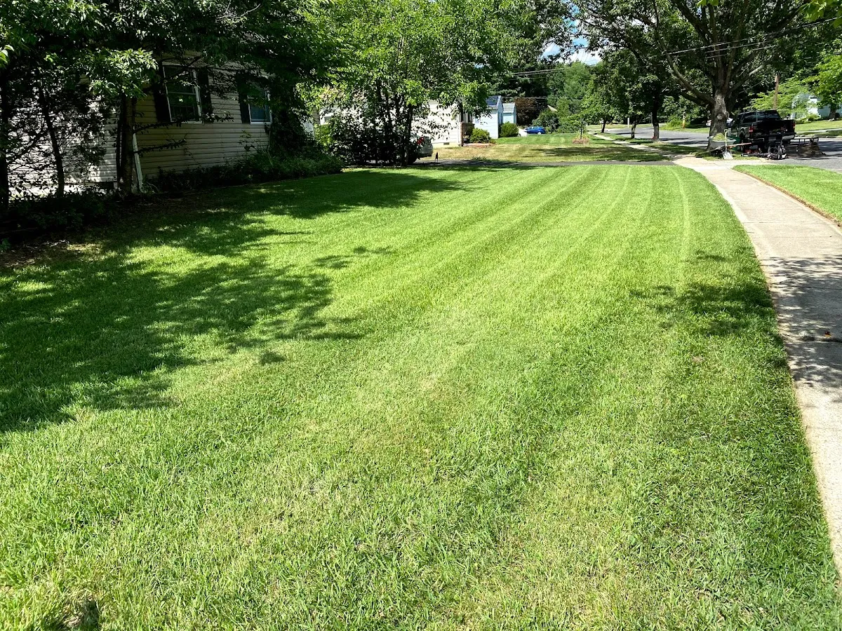Baskow Brothers Landscaping & Pressure Washing photo 4