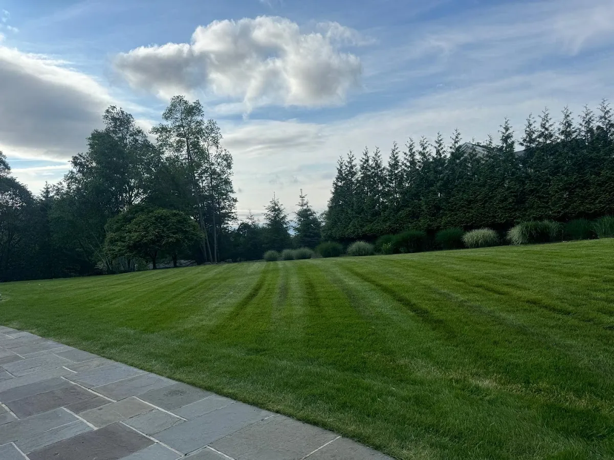 Batres Landscaping LLC photo 2