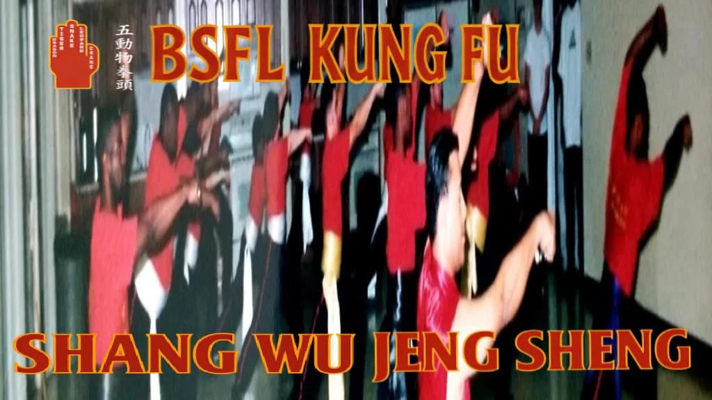 Bau Shu Fang Lian School of Shaolin Kung Fu