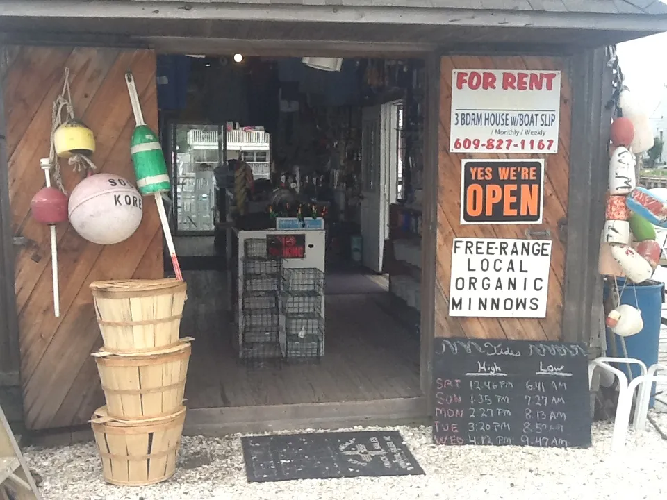 Bay Breeze Marina photo 2