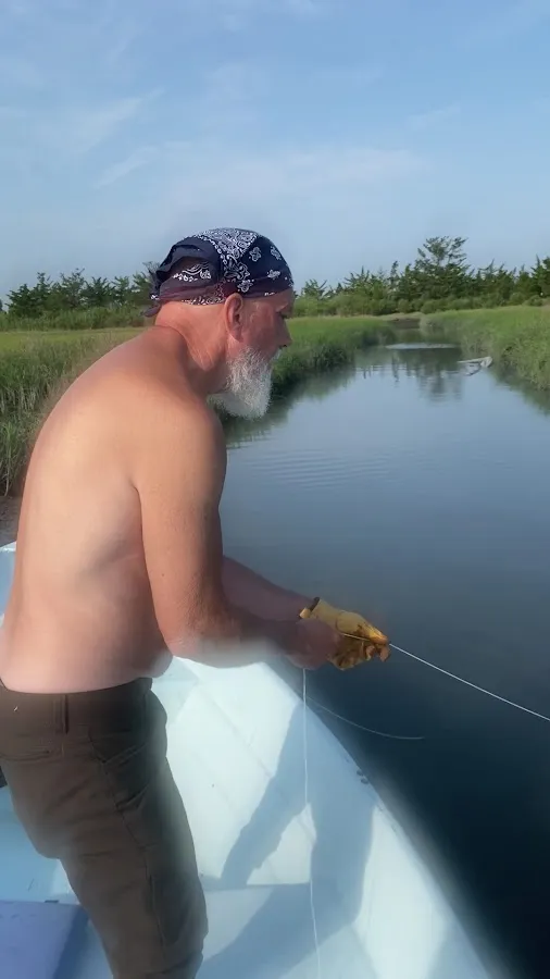 Bay Breeze Marina photo 3