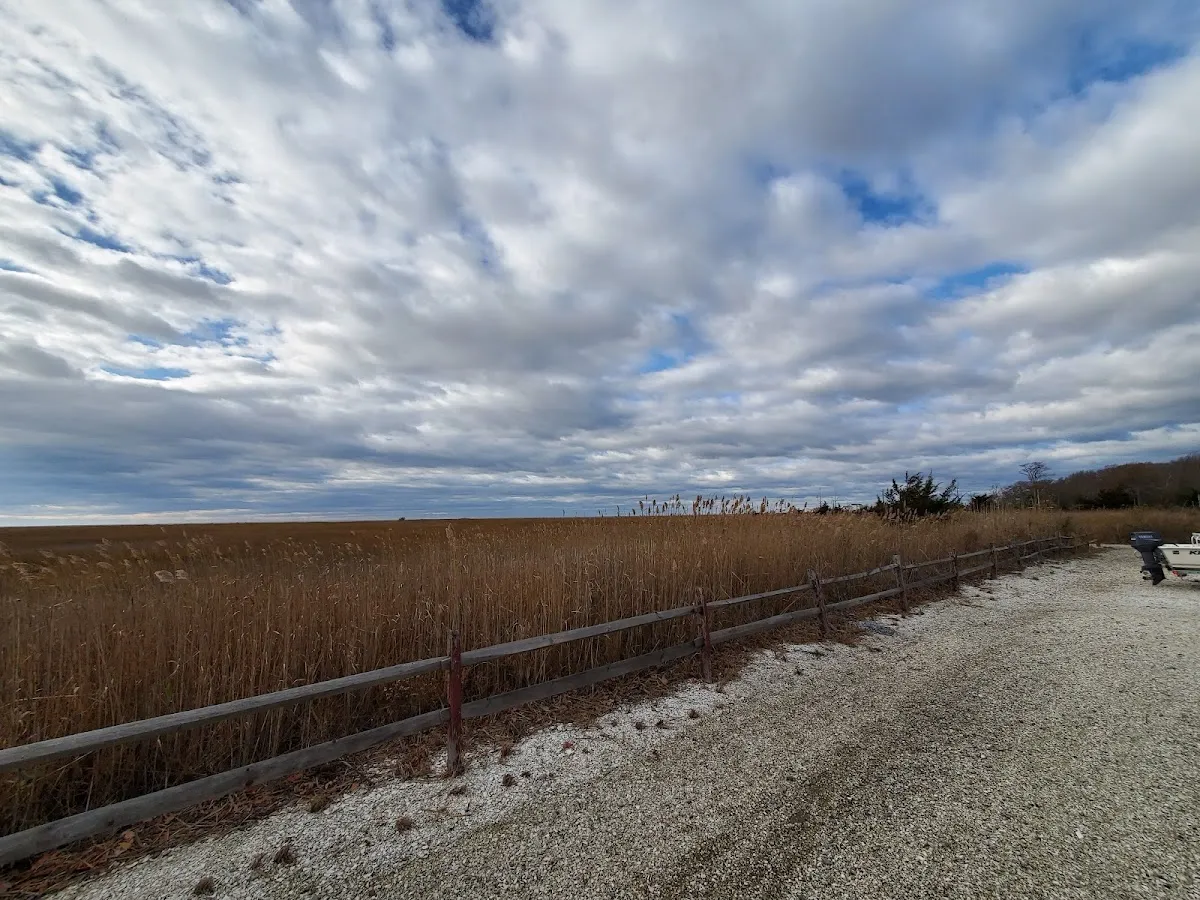 Bay Cove Resort photo 2