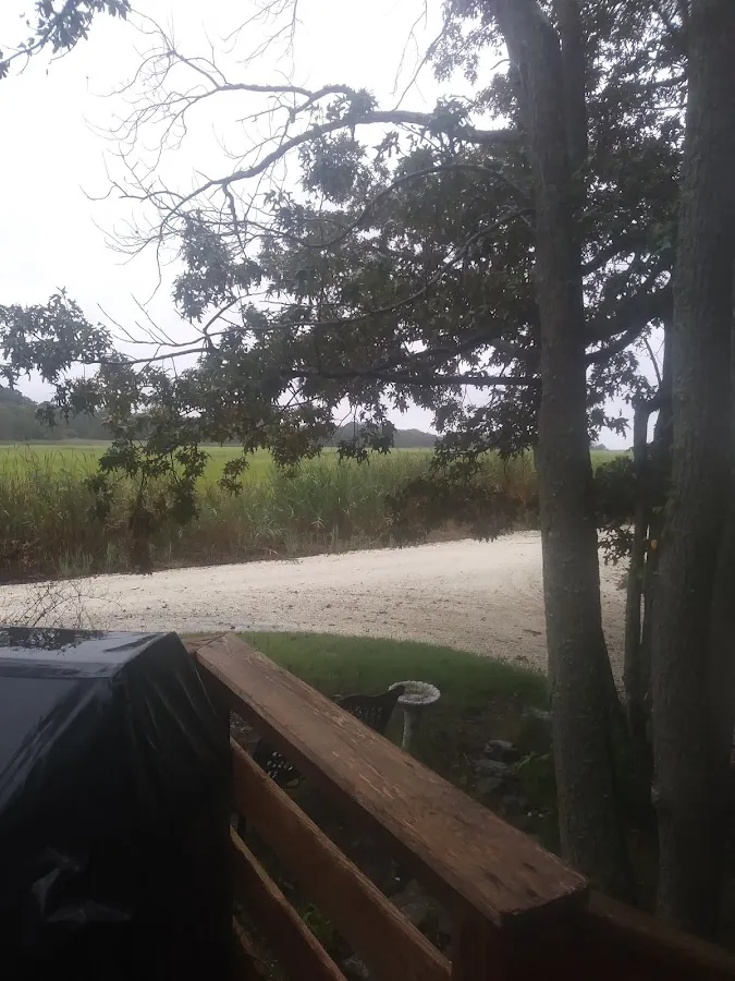 Bay Cove Resort photo 4